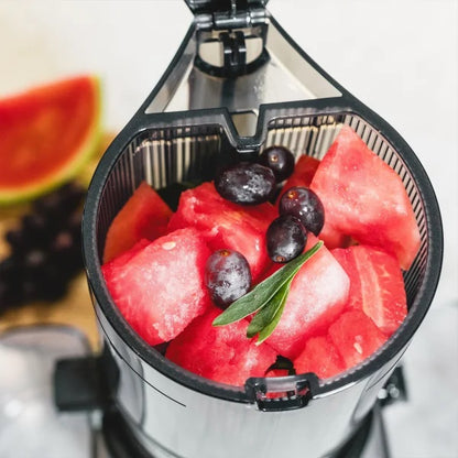 Omega Effortless Batch Juicer Cold Press Slow Juicer with 2L Hopper
