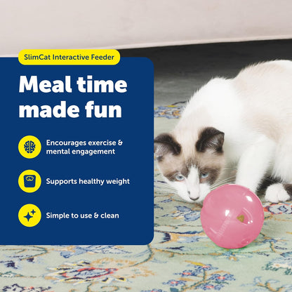 Interactive Cat Treat & Food Feeder Ball – Slim Adjustable Puzzle Toy for Cats