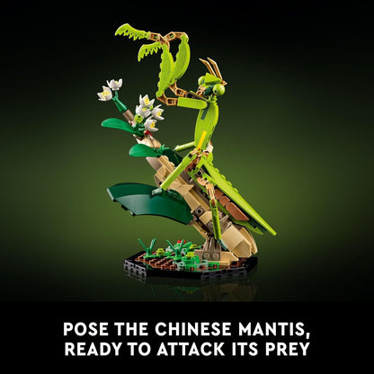 LEGO Ideas The Insect Collection, Fun Gift for Nature Lovers, with Life-Size Blue Morpho Butterfly, Hercules Beetle and Chinese Mantis Display Models, Bug Building Set and Nature Décor