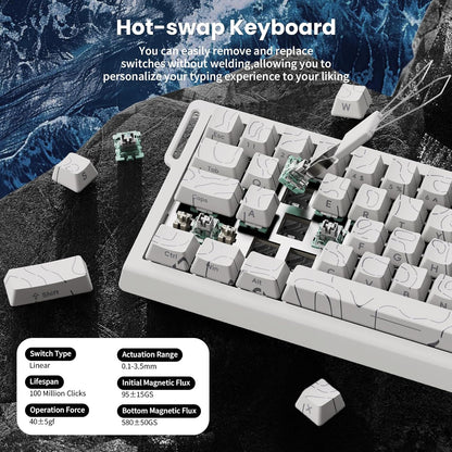 X68 HE 8000Hz Rapid Trigger Magnetic Gaming Keyboard – 0.01mm RT, RGB, 60% - White Contours
