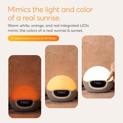 Lumie Bodyclock Shine 300 Sunrise Alarm Clock with Sunset, FM Radio & Reading Light