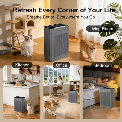 Air Purifier MK-AP01 for Large Rooms up to 3000 sq ft, H13 HEPA, PM2.5 Sensor, Dual Air Intake, Washable Filter, Ultra-Quiet 22dB for Pets, Smoke & Allergies